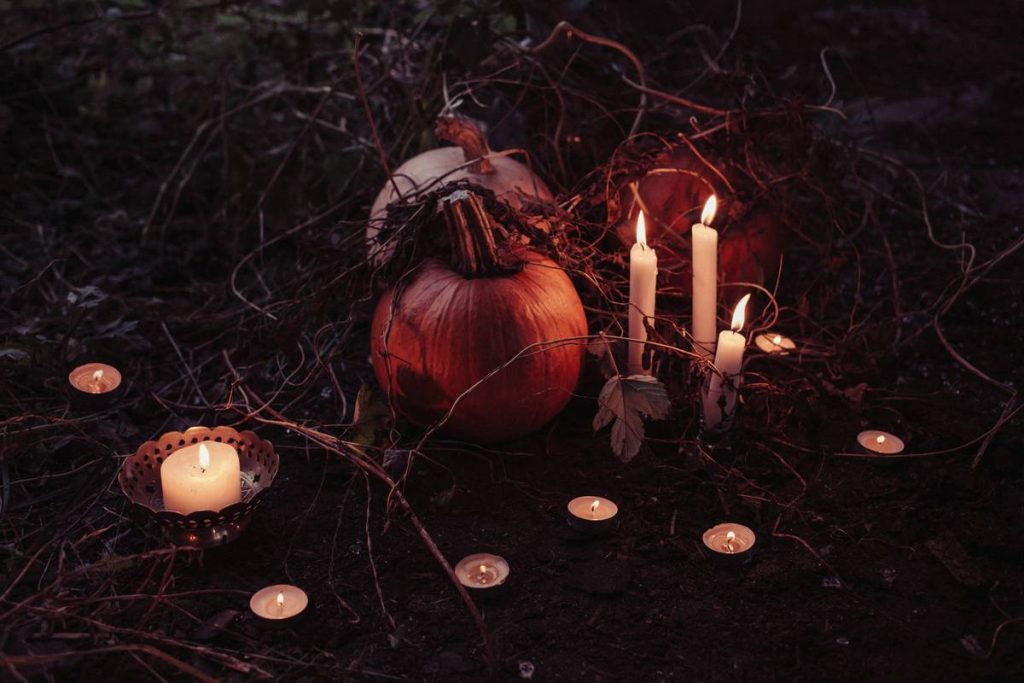 Thanksgiving Decorations for Home: 7 Proven Ideas to Create Warm, Authentic, and Stress-Free Gatherings