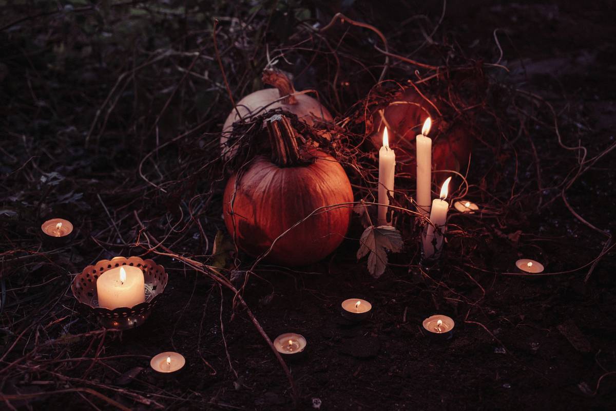 Thanksgiving Decorations for Home: 7 Proven Ideas to Create Warm, Authentic, and Stress-Free Gatherings